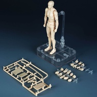 SHF Body Model Drawing Assistance Anime Art Sketch Reference Posable Joints Human Figure Collectible