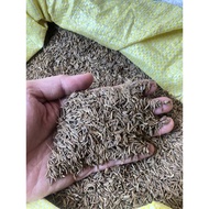 Cumin / Cumin / Cumin Seeds / Cumin Seeds 250 grams