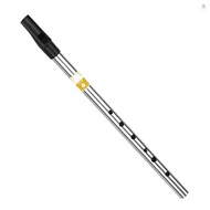 Irish Whistle Flute Key of C 6 Holes Flute Wind Musical Instruments for Beginners Intermediates Expe