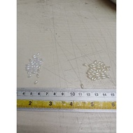 1/ 2 pounds or 225 grams of premium pearl rice 3x6mm