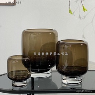 Nordic Vase Decorations Glass Thick Home Decoration Glass hjm-Brown Flower Arrangement Living Room M