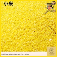 Yellow Rice Millet 小米 Sekoi