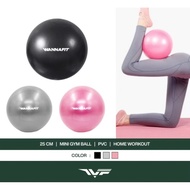 Gym Ball 25cm Mini Yoga Ball Pilates Ball Home Workout Fitness Equipment Yoga Ball 25cm