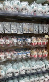 🔥預訂🔥日本現場🔥《 Chiikawa 限定款 遊樂場 公仔 小八、小可愛、兔 Usagi 烏薩奇 、 飛鼠 、星星袋 吊飾 掛件 精品  》