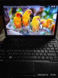 二手筆電，開機快，效能高，14吋 Toshiba C640 win11，i3，SSD 高速固態硬碟，Nv獨顯，送藍芽鍵盤