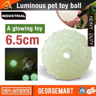 Dog Relief Toys Bite Resistant TPR Pet Interactive Toys Creative Luminous Dog Toys Balls for Home