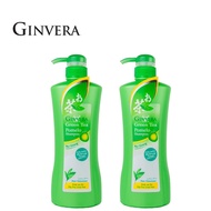 GINVERA Green Tea Shampoo 750g x 2 (Oily Hair)