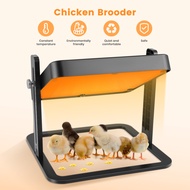 Pitalok Brooder Heater For Chicks Chick Brooder Heating Plate With Easy Clean Plate 10" X 10" Rutin 