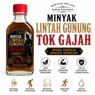 MINYAK LINTAH GUNUNG TOK GAJAH