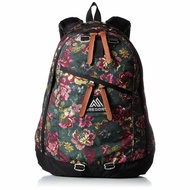 GREGORY DAY 26L Backpack