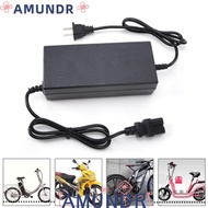 AMUNDR Lithium Battery Charger, 24V 20A Plastic E-bike Battery Charger, Durable DC29.4V 3A Electric 