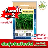 เจียไต๋ (ซื้อ10แถม2) เมล็ดพันธุ์ ผักบุ้งจีน เรียวไผ่ Chinese convolvulus ประมาณ 420เมล็ด เจียไต๋ เมล