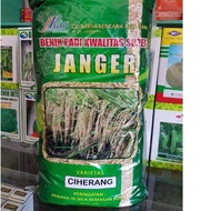 Produk Baru Benih Padi Ciherang Janger | 5 kg qt0.....