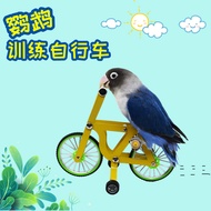 Parrot Bird Toy Bird bicycle Toy Bird training Supplies Equipment Props Bird Cycling training Intell
