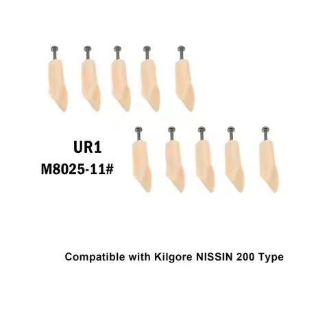 10Pcs Kilgore Nissin 200 Typodont Dental Replacement Screw-in Teeth Model M8025