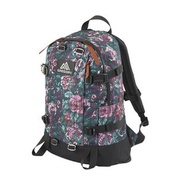 GREGORY ALL DAY V2.1 BACKPACK 背囊