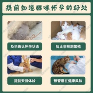 Cat Self-Testing Urine General Hospital Pregnant Female Cat Model Testing Test Same Home 4.25 Early 