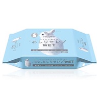 妮飄 - NEPIA 抽取式超柔軟如廁用濕紙巾 替換裝 60枚入 可沖廁 - 34092 (平行進口)