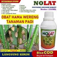 Obat Semprot Hama Wereng Padi NOLAT 250ML Pestisida Organik Nabati Obat Yang Ampuh Untuk Hama Wereng Pada Padi Obat Hama Wereng Pada Tanaman Padi Obat Wereng Padi Sawah Paling Ampuh Obat Wereng Coklat Pada Tanaman Padi Terbaik Murah Manjur