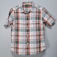 crocodile Shirt Japanese