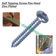 Self Tapping Screw/Skrup Cacing #8 X 1.0"