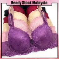 READY STOCK Bra Women Full Cup Bra Wired Sexy Lace Material Baju Dalam Wanita Bra Wanita Bra Besi/Da