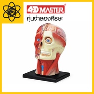 4D Vision 4D Head Model
