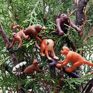 6 Pcs Realistic Gibbon Model Science Educational Toys Early Learning Simulation Gibbon Cubs