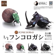1: 1 Dung Beetle Gashapon Egg Insect Model Japan