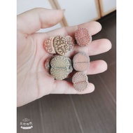 18.4.21- BH  Lithops As Photo 1.8cm-3.0cm 特大生石花