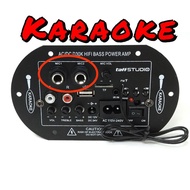 Bluetooth karaoke amplifier module 35 watt ac dc board amplifier usb radio memory aux in