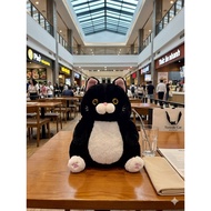 Ebony cat, cute, black cat with bewildered face 30cm(10)
