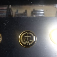 Magnetic Advocate Pin