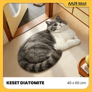 MR.MAT Diatomite Floor Mat 3D Cat Motif Premium Cat Rug Thick Anti-Slip Home Mat Bathroom Mat