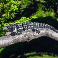 3d Printing Black White Taiga Lizard Simulation Doll Movable Joint Gecko Lizard Stall Toy