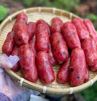 LẠP XƯỞNG TƯƠI LOẠI 1 - TÚ VY FOOD - 90% THỊT NẠC HEO