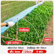 MI Garden GLASS FIBER TUBE  แข็ง4mm ความยาว120cm/150cm/180cm กรีนเฮ้าส์ พลาสติกPE หนา 120ไมครอน สวนหลั่ง โรงเรือนสวนผัก มุ้งปลูกผัก ซุ้มต้นไม้ พลาสติกคลุมโรงเรือน พลาสติกโรงเรือน (แท่งกลมตัน+พลาสติกPE)