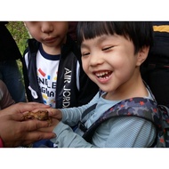 Outdoor Ecological Natural Exploration Course/Physical Course