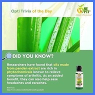 ✜ □ ◮ One Opti Essential Liniment Oil 50ml