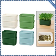 [Happi2nessMY] Seed Sprouter Tray Storage Box Seedling Planting Multifunctional Smooth Surface Cat G