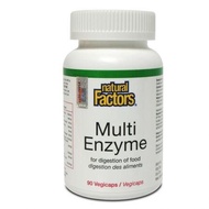 NATURAL FACTORS MULTI ENZYME 90S