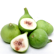 1 ต้น มะเดื่อฝรั่ง ต้นพร้อมให้ลูก ลำต้นสูง 30 ซม Figs Tree สายพันธุ์ Kadota