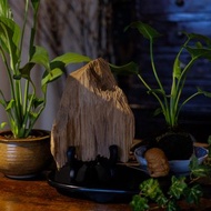 【沉香擺件】柬埔寨沉香擺件 291.5g