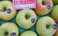 【日本青森 - 名月蘋果8入盒裝】萬中首選的蜜蘋果，免運優惠中