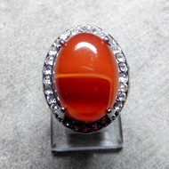 Cincin Batu Akik Raflesia Bengkulu HQ