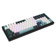 133 Key Botanical PBT Double Shot Side-lit Shine Through Backlit keycaps OEM Profile for MX Mechanic