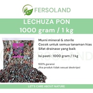 Lechuza pound 1 kg ready to use | Ornamental plant planting media | Bonsai succulent orchid cactus p