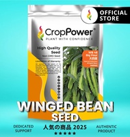 (500 GRAM) Biji Benih Kacang Botol Big Four 大四喜 WB48 CROP POWER Winged Bean seeds 四棱豆 WB 48