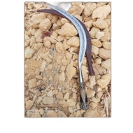 celurit jumbo 02