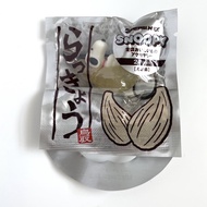 PEANUTS Strap Key Chain Keychain Snoopy lays down on to Rakkyo TOTTORI Prefecture Japan Version, bon